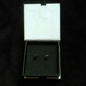 Silver Plated 1/4 ct Red Black Garnet Earrings.